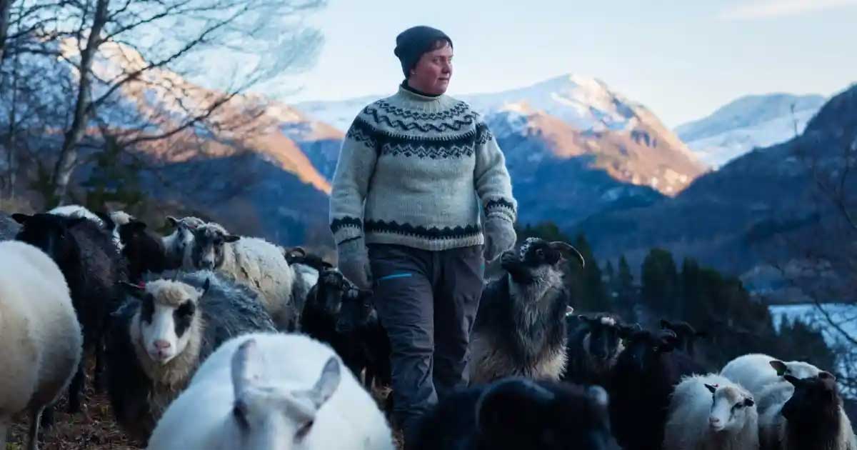 Film: Woolly – Schaf Dir das Glück, von Rebekka Nystabakk im Verein Kino Lichtspiele Olten