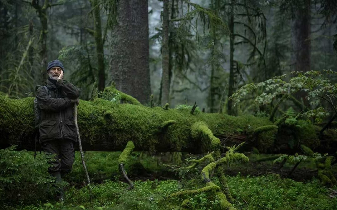 Le Chant des forêts