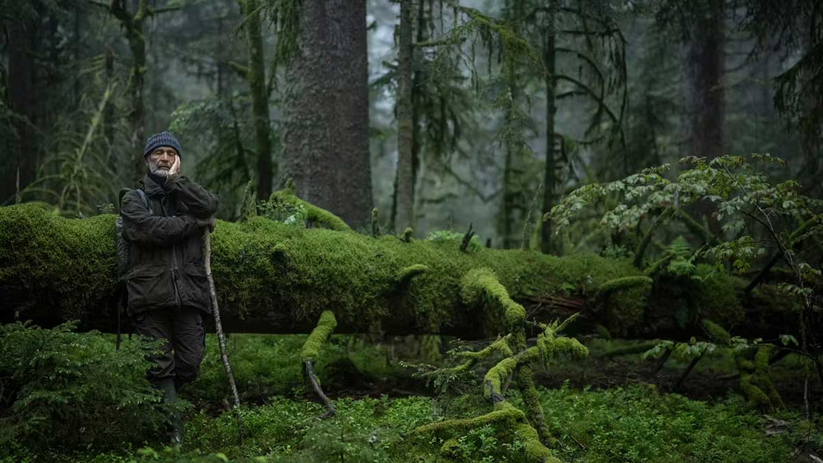 Film: Le Chant des forêts, von Vincent Munier im Verein Kino Lichtspiele Olten